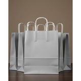 Erta Kağıt Gümüş Renkli Kraft Çanta 25X31 cm 15 Adet Hediye Poşeti , Hediye Paketi , Kraft Kağıt Çanta