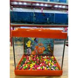 Ertargın Shop Kare Mini Akvaryum 20x20x15 cm Turuncu Renkli Dekoratif Tasarım