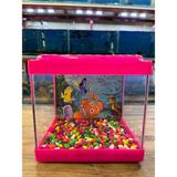Ertargın Shop Pembe Kare Mini Akvaryum 20X20X15