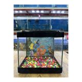 ErtargınShop Kare Mini Akvaryum SİYAH Renk 20x20x15 cm