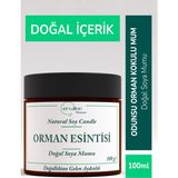 Ervalinn Odunsu Orman Kokulu Doğal Soya Mumu 100 gr+DUDAK BALSAMI HEDİYE - 1 Adet