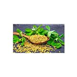 erzincan Çemen Otu Tohumu 500gr