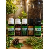 Esansiyel Uçucu Koku Yağı 5 X 10Ml Set Buhurdanlık Yağı Difüzör Esansı Hobi Esans Ortam Oda Kokusu