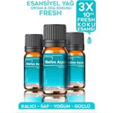 Esansiyel Yağ Nefes Açıcı Fresh Oda Kokusu 3 Adet 10ML Set Aromatik Buhardanlık Difüzör Uçucu Yağ