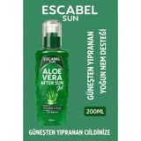 Escabel Alovera Güneş Sonrası