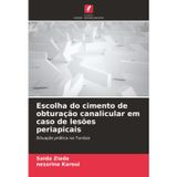 Escolha do cimento de obturação canalicular em caso de lesões periapicais