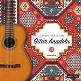 Esen Müzik Gitar Anadolu 1 (Folk Guitar) Plak