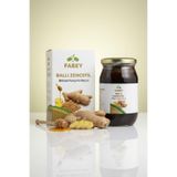 Esfabey Ballı Zencefilli Bitkisel Karışımlı Macun 420gr