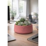 ESG PLUS Cookie 17 cm Dekoratif Beton Kaktüs Sukulent Aranjman ve Bonsai Saksı Kırmızı