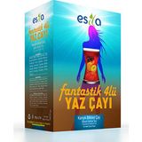 Esila Fantastik Dörtlü Yaz 45 Poşet Çay