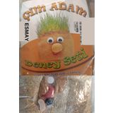Esmay Çim Adam Deney Seti 20 Adet gnsRKFaz2626