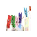 Esmay Küçük Renkli Mandal 100 lü Paket Mini Ahşap Mandal Fotoğraf Mandalı 3,5 cm