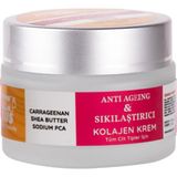 Esmo Home Softto Plus Antı Agıng Sıkılaştırıcı Kolajen Krem