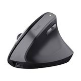 Esmo Home TM270 Ergonomik Kablosuz Mouse-Syh - Option-1 - 001-Renkli