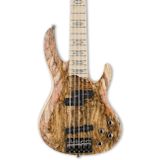 ESP Ltd RB-1005SM Bass Gitar