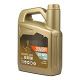 Esranın Dünyası 10W/60 Tam Sentetik Motor Yağı - 4 Litre