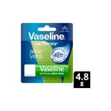 Esranın Dünyası Aloe Vera Özlü Dudak Bakım Kremi 4.8 ml