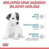 Esranın Dünyası Bebek Köpek Sütü, 400 Gr, Büyüme Desteği - 0,18 kg