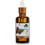 Esranın Dünyası Çam Terebentin Yağı, 50 Ml, Doğal Yağ