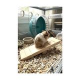 Esranın Dünyası Hamster Oyuncağı Tahtıravalli - Doğal Ahşap - 20X7 cm