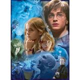 Esranın Dünyası Harry Potter Temalı 500 Parçalı Puzzle, Hayranlar Için
