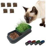 Esranın Dünyası Hidroponik Kedi Çimi Yetiştirme Seti, Mavi, 5 Paket Çim Tohumu