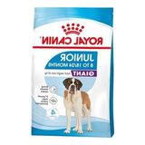 Esranın Dünyası Junior Köpek Maması, 15 Kg, Büyük Irklar Için Uygun