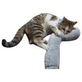 Esranın Dünyası Kedi Oyuncağı Sarılma Yastığı Uyku Oyuncağı Kedi Otlu 30 cm Peluş (1 Adet) (Gri)