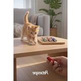 Esranın Dünyası Lazerli Kedi Oyuncağı, 3 Fonksiyonlu Renkli Işıklar ile Eğlence