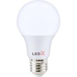 Esranın Dünyası Lunatic 28293 A109G 9 Watt E27 4000K 810 Lümen Günışığı LED Ampul (9WAL-LL9-G) - Amber
