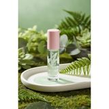 Esranın Dünyası Miniso Lisanslı Minimalist Serisi Dudak Yağı No 02 Elma Yeşili - Yoğun Nemlendirici ve Ferahlatıcı Parlak Lip Oil, 2017420414100 - 0,5 gr