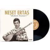 Esranın Dünyası Neşet Ertaş - Bozkırın Tezenesi 1 (33'lük Plak) - Altın