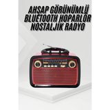 Esranın Dünyası Nostalji Radyo Bluetooth Hoparlör Usb-Sd Kart Giriş LED Fener Işıklı Bataryalı Pilli
