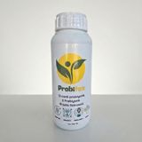 Esranın Dünyası Probitox Probiyotik Içecek 500 ml Canlı Kültürlü Prebiyotik Bitkisel Konsantre Sıvı - 1 Adet