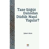 Esranın Dünyası Taze Söğüt Dalından Düdük Nasıl Yapılır? - 1 Adet