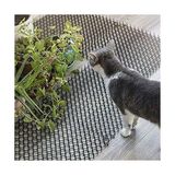Esranın Dünyası Weber Kedi Kovucu Mat, Plastik, 10 Adet, Toplam 250 Cm, Bahçe ve Iç Mekan Kullanımı