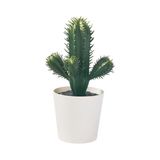 Esranın Dünyası Yapay Bitki, Yeşil, 6 Cm, Kaktüs, Iç/dış Mekan