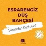 Esrarengiz Düş Bahçesi / Mandala