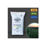 EŞREF ŞEKERLİ Rye Grass, Reygras Otu, Italyan Çimi (süt Otu) Tohumu 5 Kg
