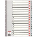 Esselte SLT-100107 1-20 Rakamlı Seperatör