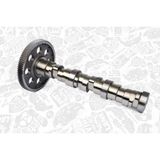 Estaş 33123 Estas 33123 Eksantrik Mili Db-Dişlisi 5410500301 Euro 2/3 2000-EM Motor TIP:501