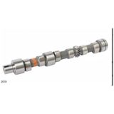 ESTAŞ Eksantrik Mili Blumaster 3 Cly (13070) - Tt 50.95.65.75 - 84300579 - 1 Adet