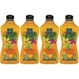 EstoreBox Est Bodrum Mandalinası Doğal Zeytinyağlı Sıvı Sabun 1.5lt x 4