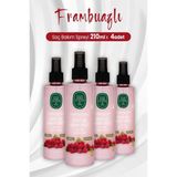 EstoreBox Frambuazlı Sirke Süper Saç Bakım Spreyi 210 ml x 4 Adet