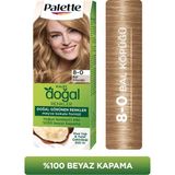 EstoreBox Palette Kalıcı Doğal Renkler 8-0 Bal Köpüğü Shea Yağı Saç Boyası x 2 Adet