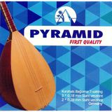 EstoreBox Pyramid Kalite Kısa Sap Bağlama Teli 0.18 mm