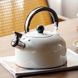 EstoreBox Valkyrie 3l Paslanmaz Çelik Düdüklü Kettle Su Isıtıcısı Çaydanlık Islıklı Demlik
