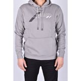 Esw 1910 Kapüşonlu Sweat/gri/m
