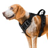 ETACCU Çekme Köpek Koşum Yok, Şok Yok Ön Klips Köpek Yansıtıcı Koşum, Kolay Kontrol Kolu ile Ayarlanabilir Yumuşak Yastıklı Evcil Hayvan Yelek L