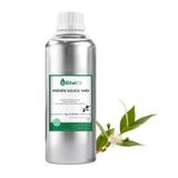 EthelOil 1 kg Mersin Uçucu Yağı